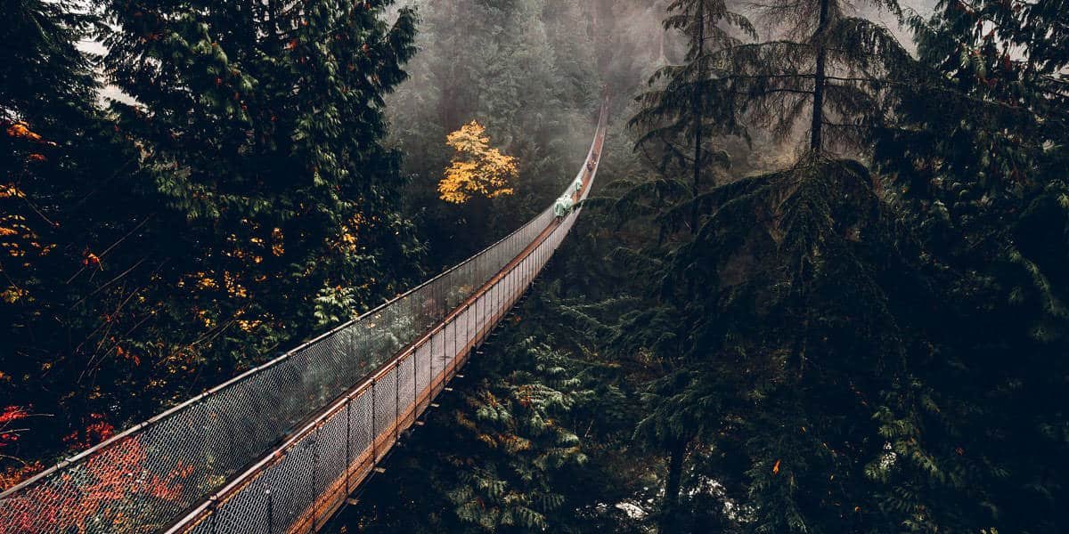 Capilano Suspension Bridge Park