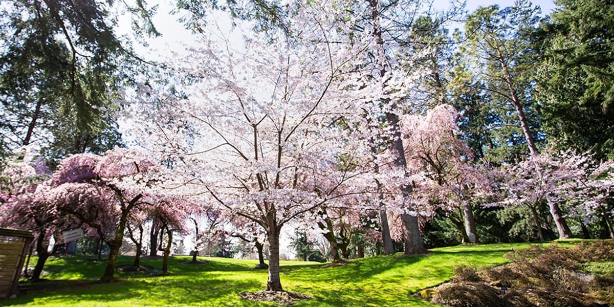 VanDusen Botanical Garden